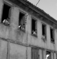 /album/fazenda-santa-fe/fazenda-santa-fe-13-11-2010-35-jpg/